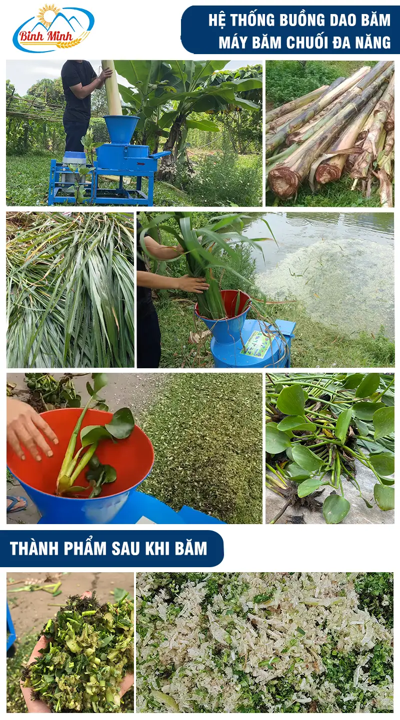cach-su-dung-may-bam-chuoi_result222