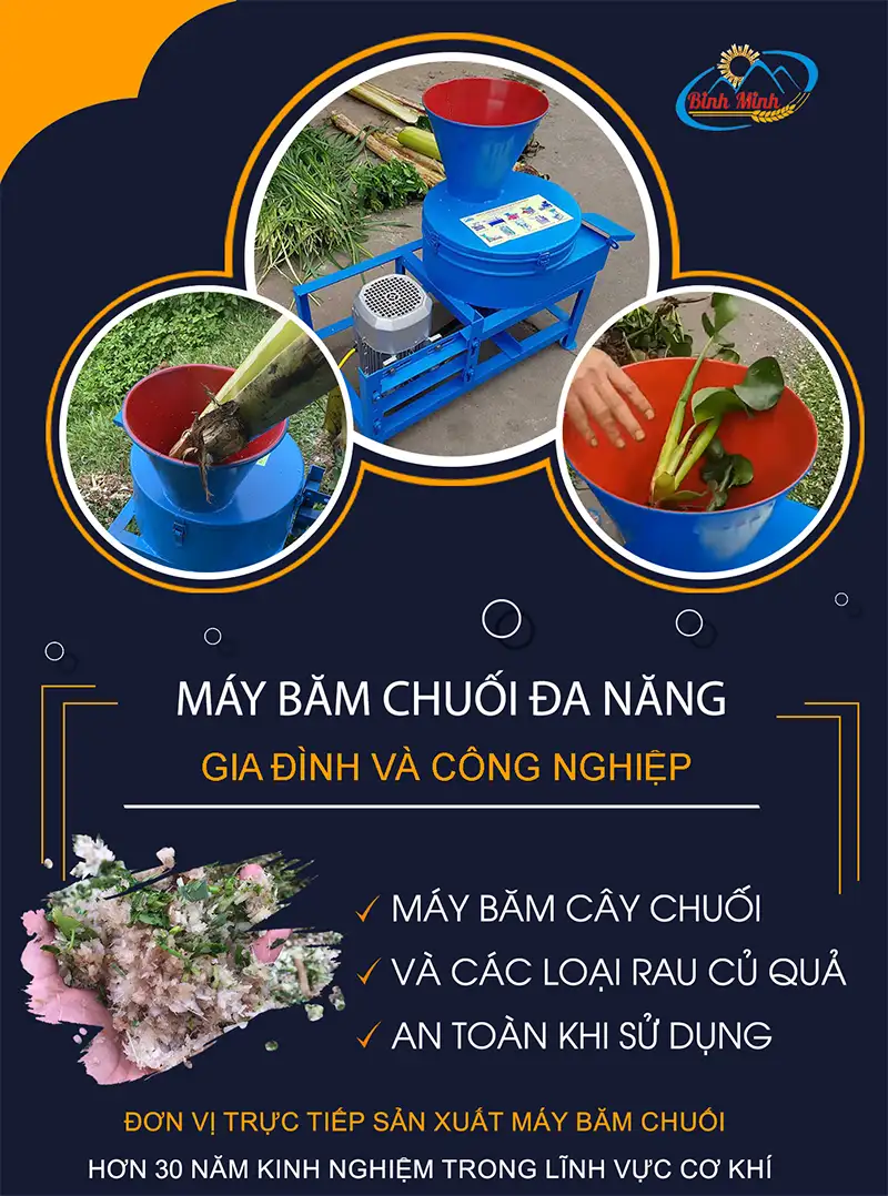 may-bam-chuoi-da-nang_result222