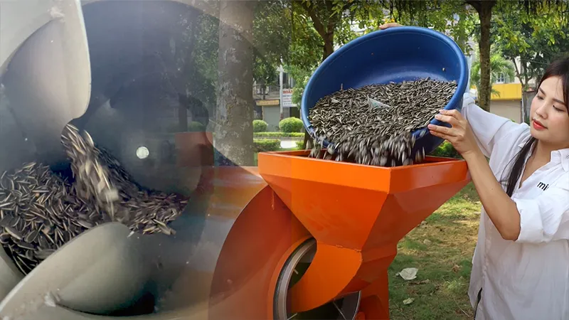 may-rang-hat-huong-duong_result