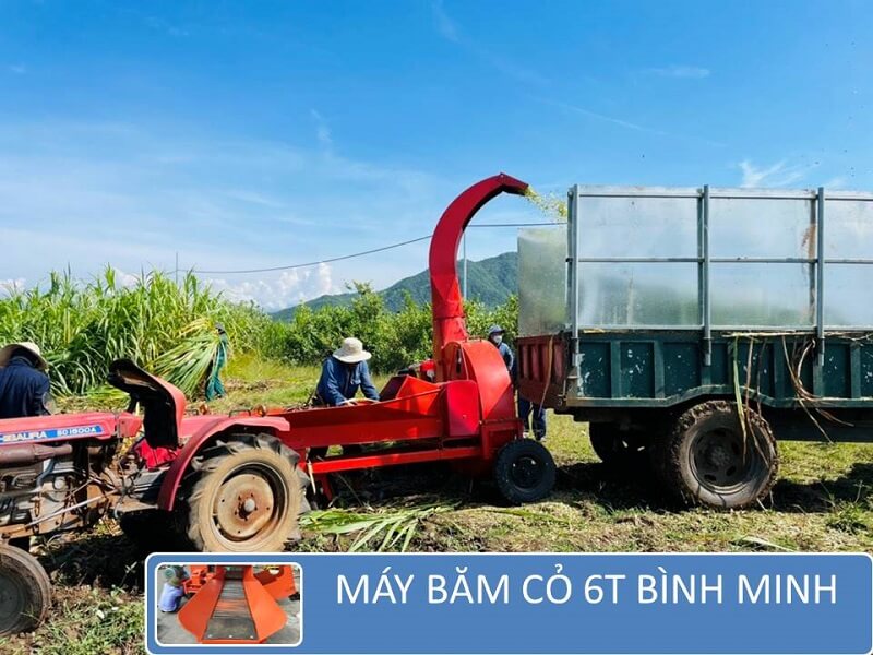may-bam-co-6t