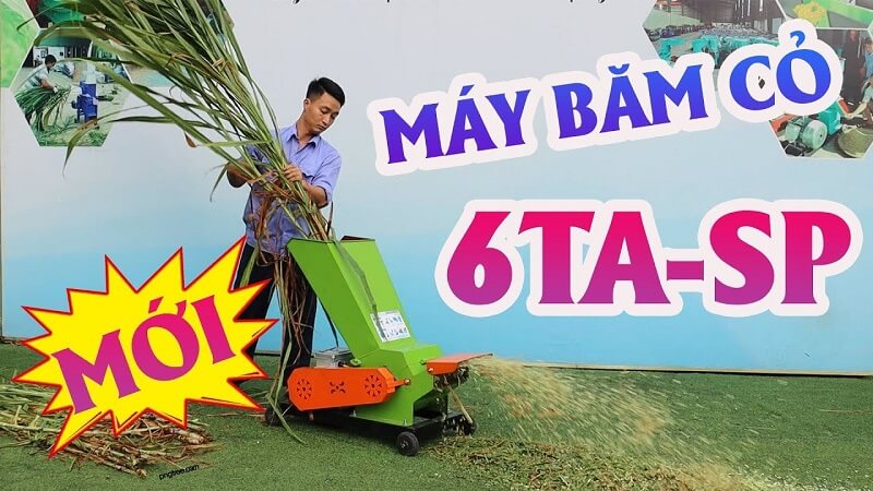 may-bam-co-6ta-sp