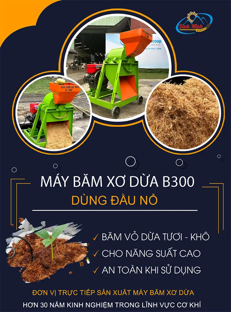 may-bam-xo-dua-b3--binh-minh_result222