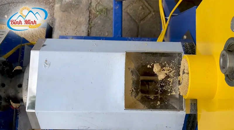 ep-cam-cho-ca_result