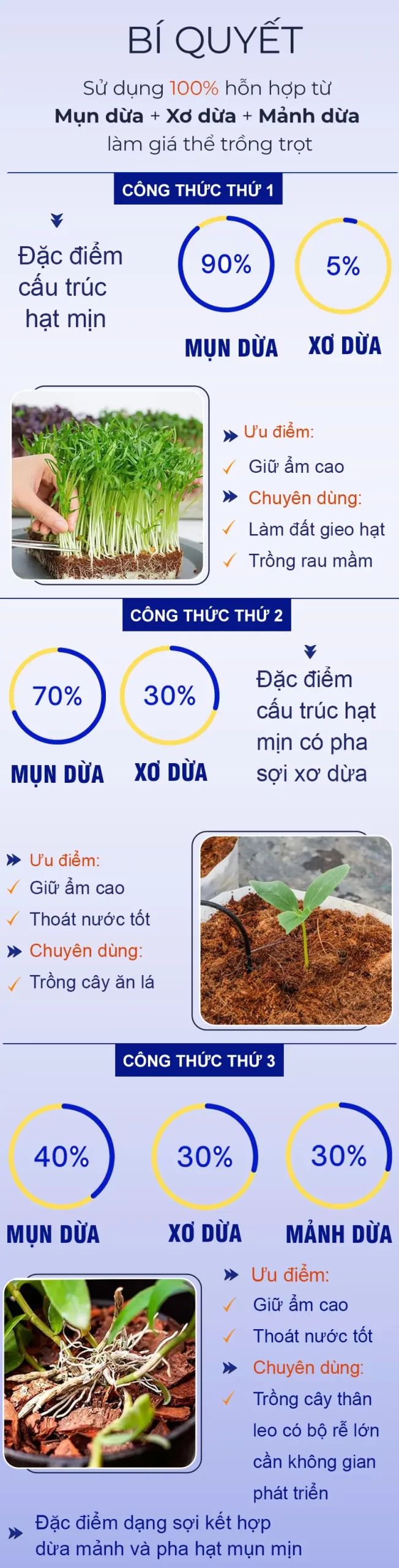 cong-thuc-tron-mun-dua-trong-cay_result222