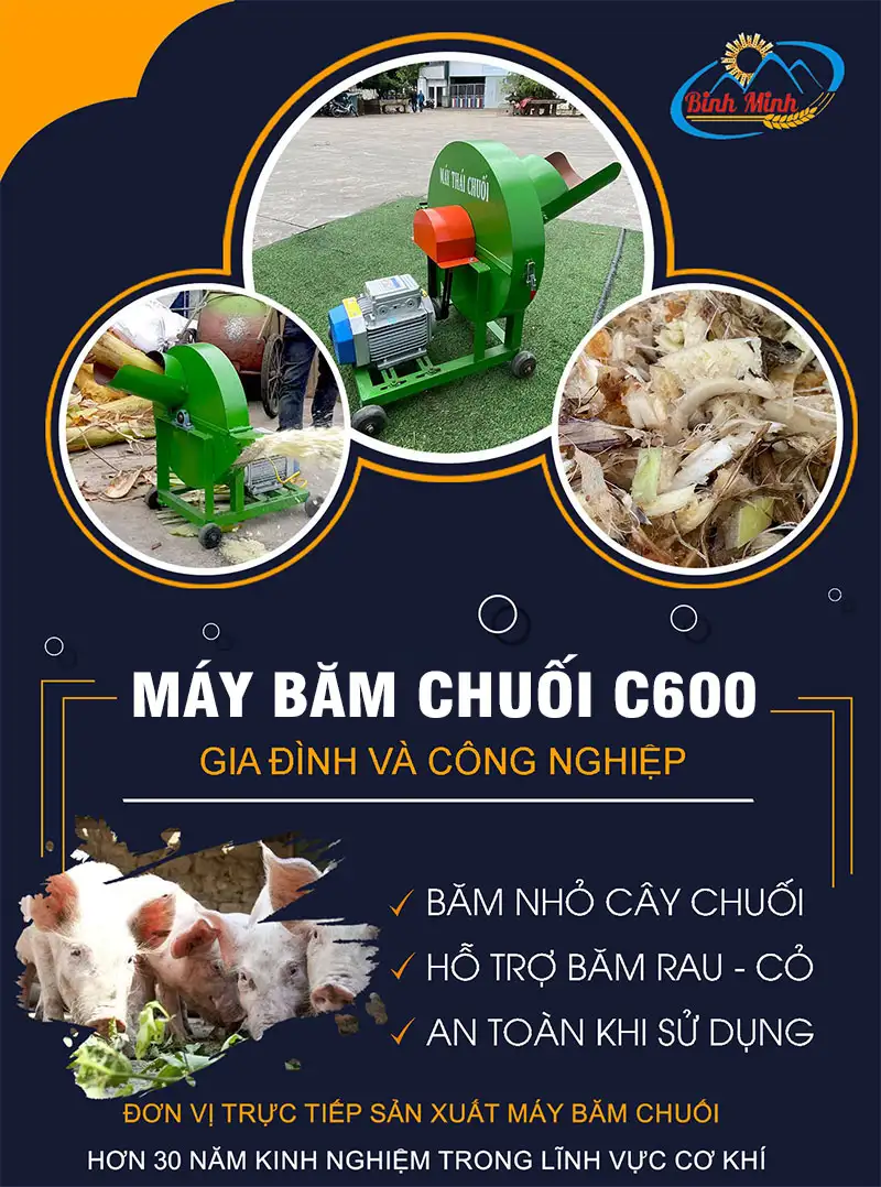 may-bam-chuoi-c600-binh-minh_result222