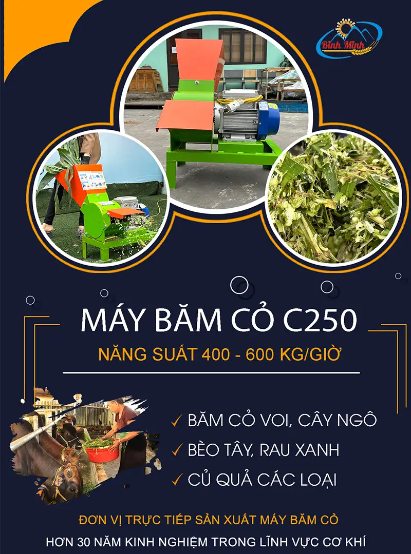may-bam-co-c250-binh-minh_result222