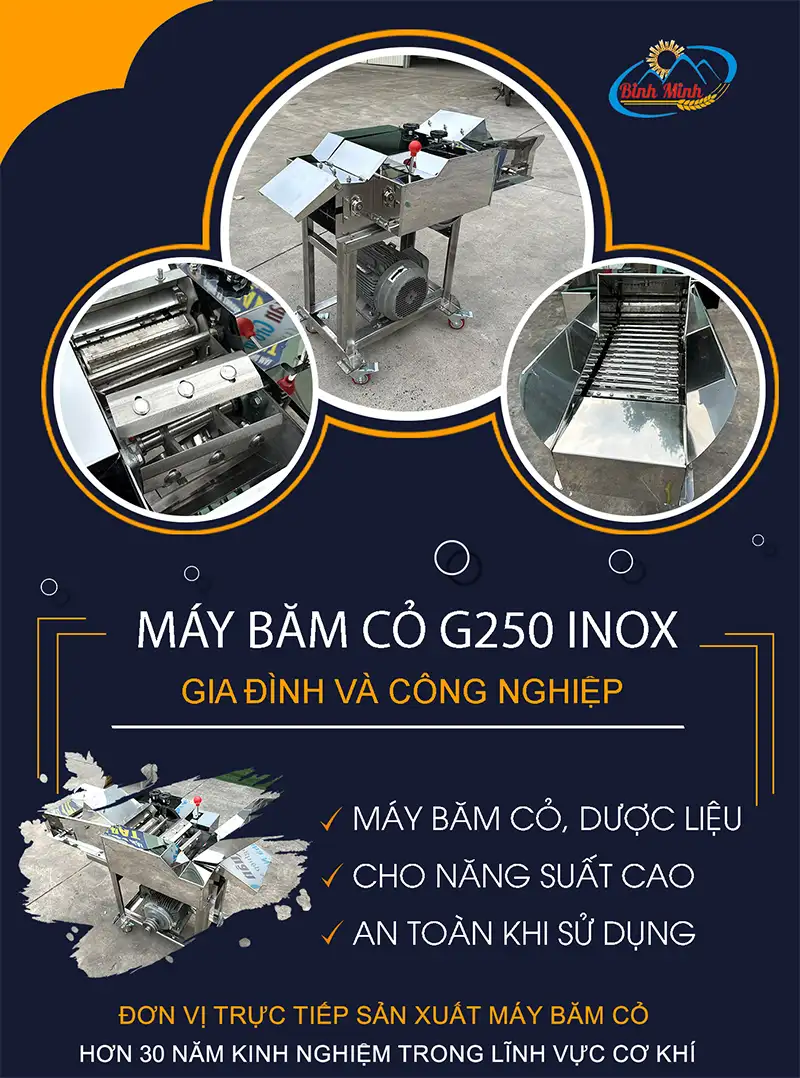 may-bam-co-g250-inox-binh-minh_result222