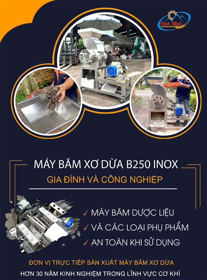 may-bam-xo-dua-b250-inox_result222