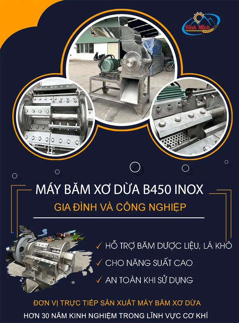 may-bam-xo-dua-b450-inox-3-pha-binh-minh_result222
