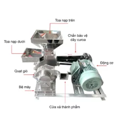 cau-tao-may-nghien-inox-b12-2-toa_result222