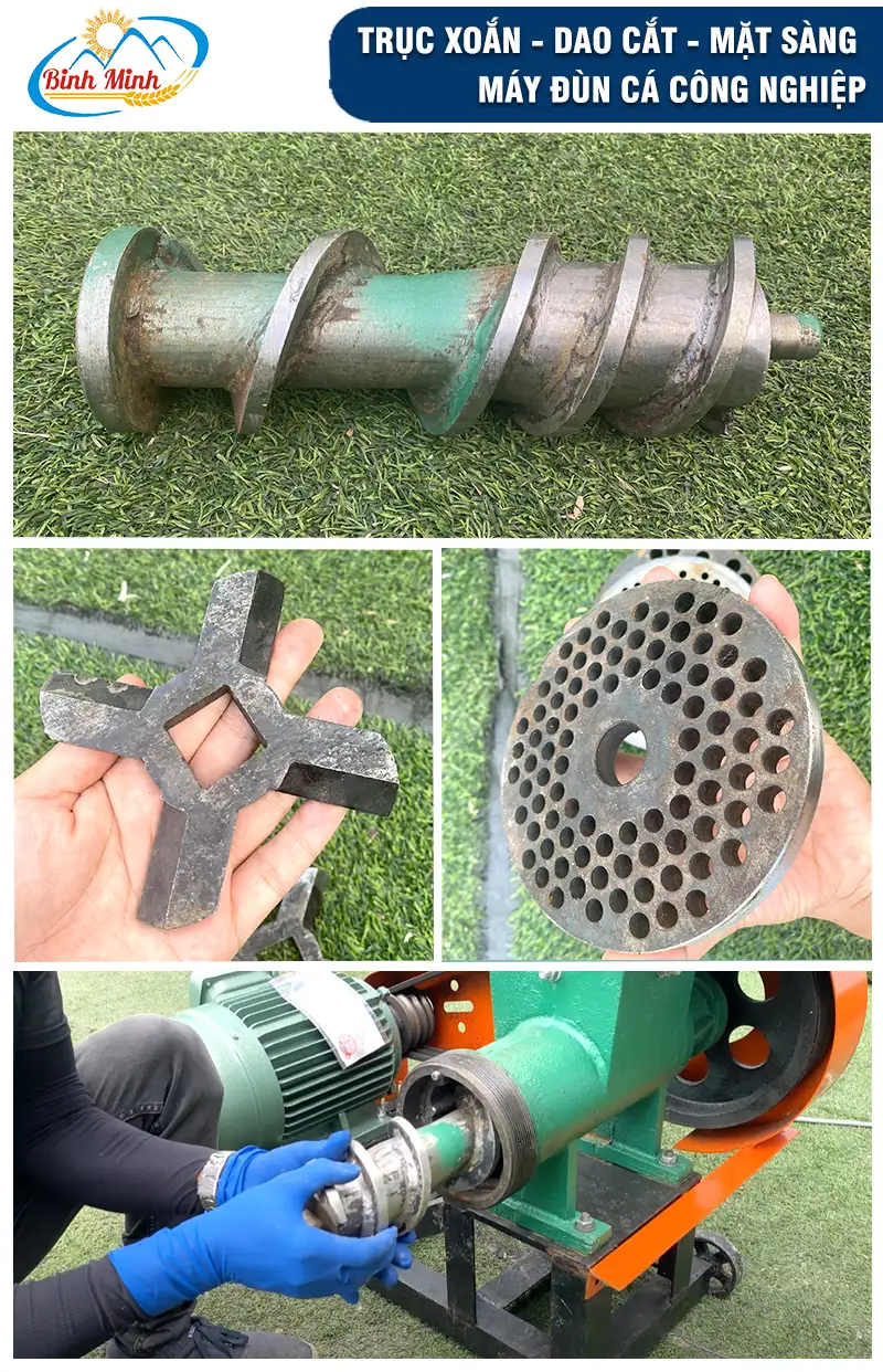 truc-xoan-dun-ca_result222