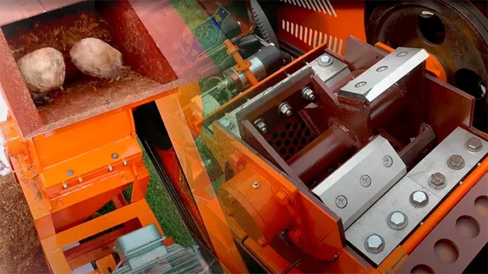 dao-bam-xo-dua_result