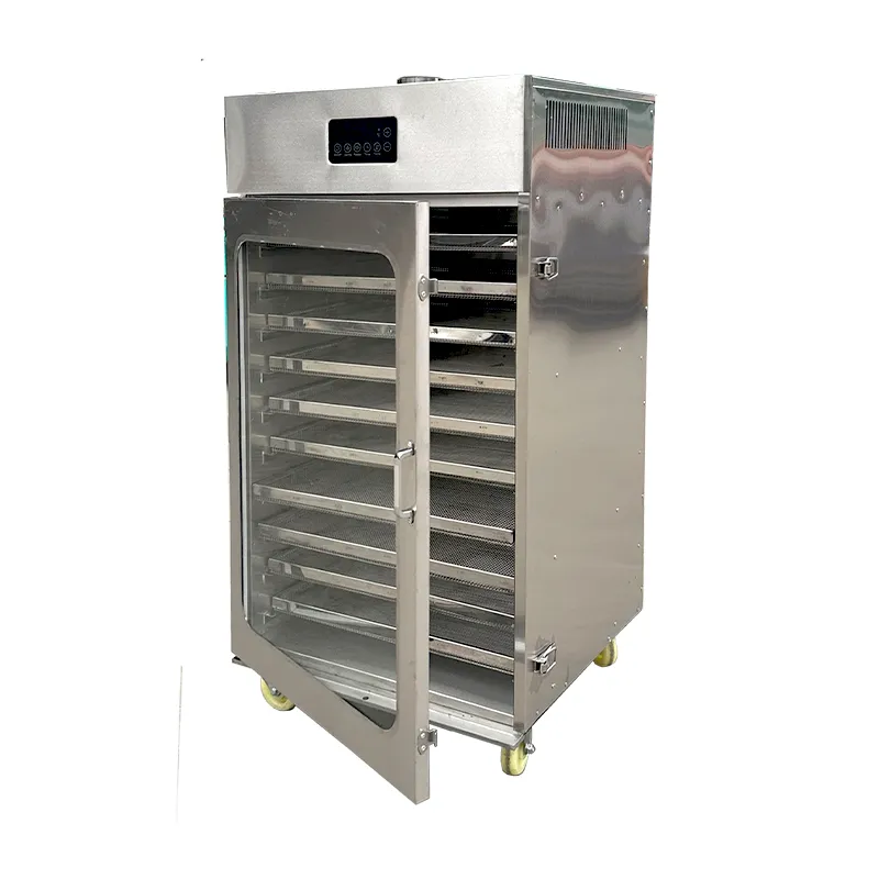 Máy sấy gia đình phiên bản mới - Ảnh 2