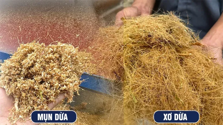 mun-dua_result_result