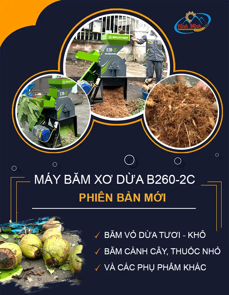 may-bam-xo-dua-b260-2c_result